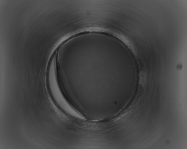 X0000091691229200708301533