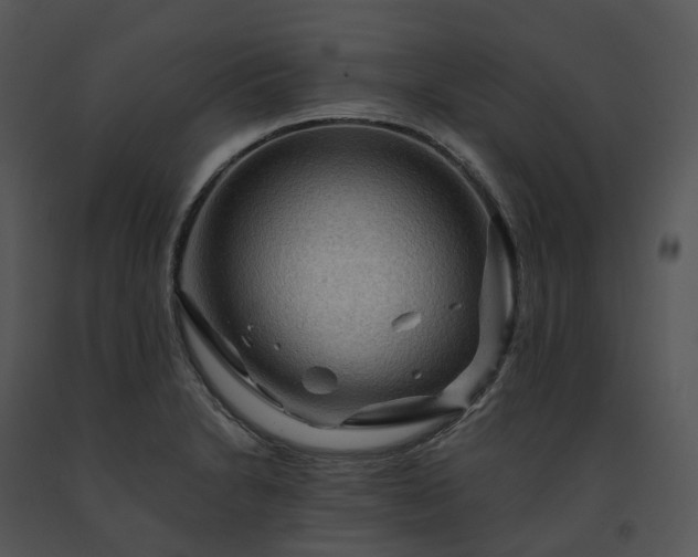 X0000091691230200708301534