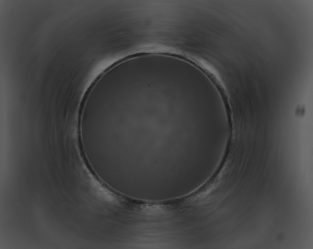 X0000091691231200708301534
