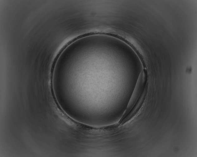 X0000091691232200708301534