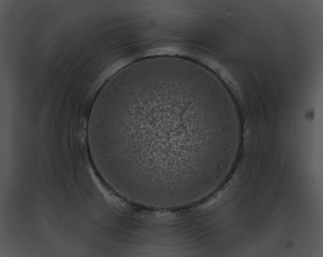 X0000091691233200708301534