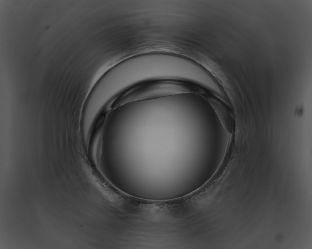 X0000091691234200708301534