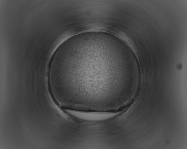X0000091691235200708301534