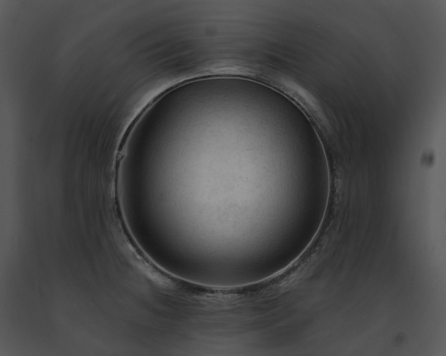 X0000091691236200708301534
