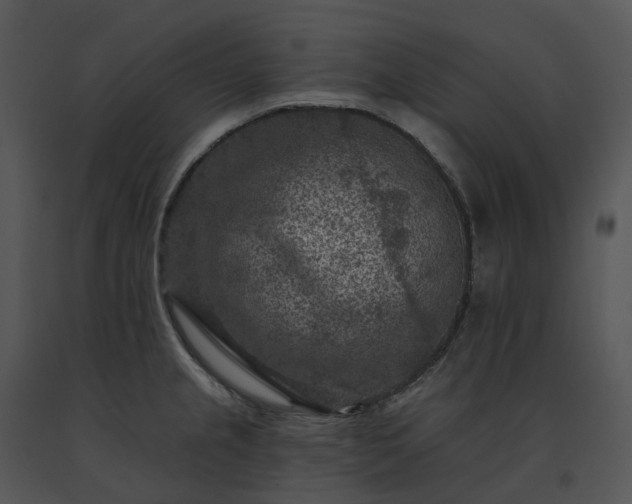 X0000091691237200708301534