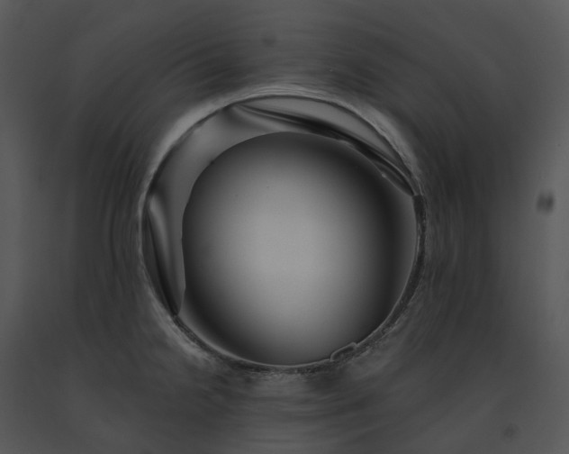 X0000091691238200708301534