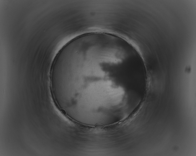 X0000091691239200708301534