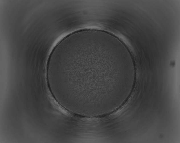 X0000091691240200708301534
