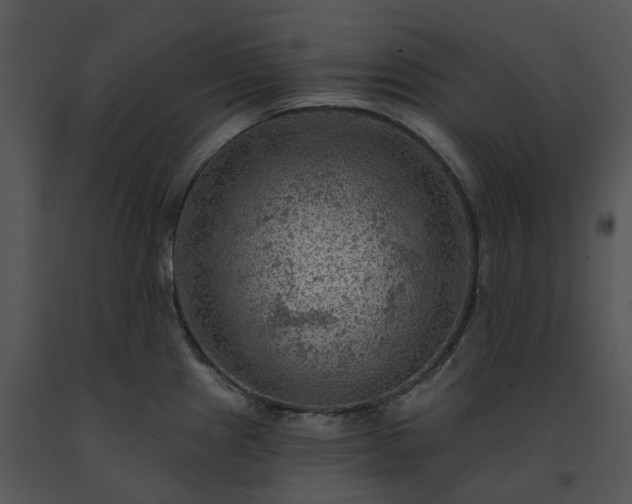 X0000091691241200708301534