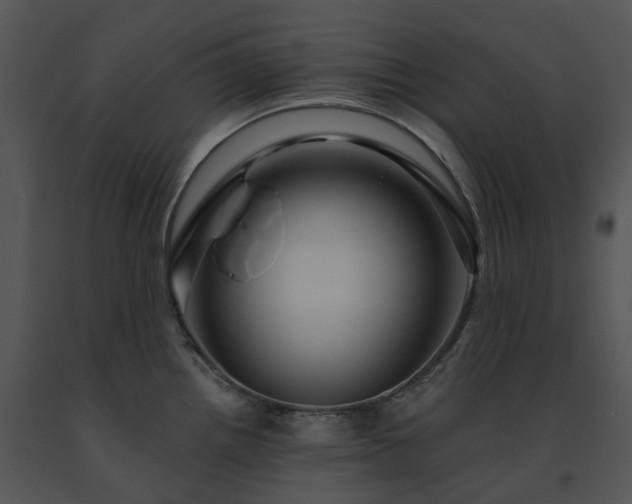 X0000091691242200708301534