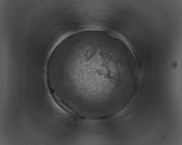 X0000091691243200708301534