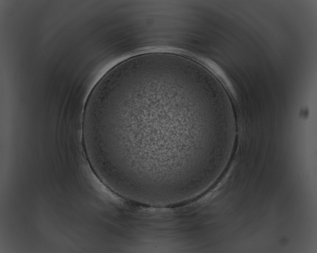 X0000091691244200708301534