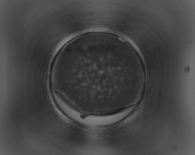 X0000091691245200708301534