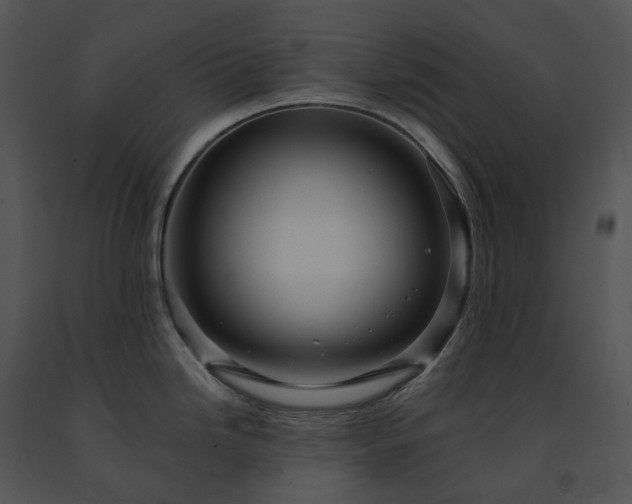 X0000091691246200708301534