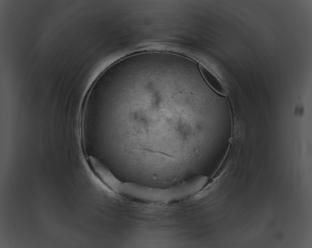 X0000091691247200708301534