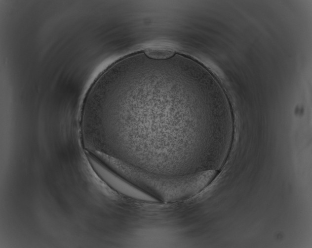X0000091691248200708301534