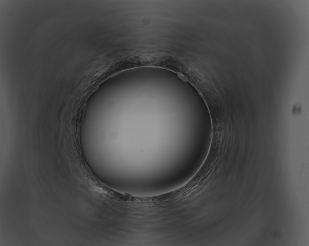 X0000091691249200708301533