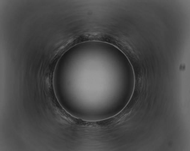 X0000091691250200708301533