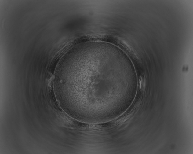 X0000091691251200708301533