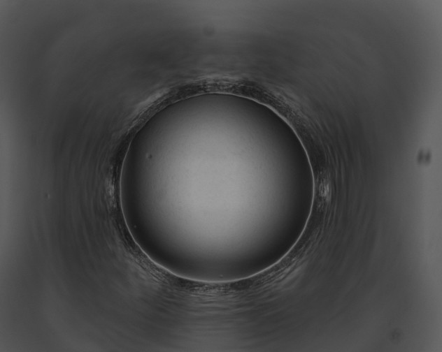 X0000091691252200708301533