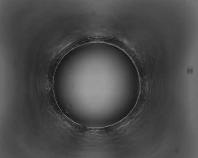 X0000091691253200708301533