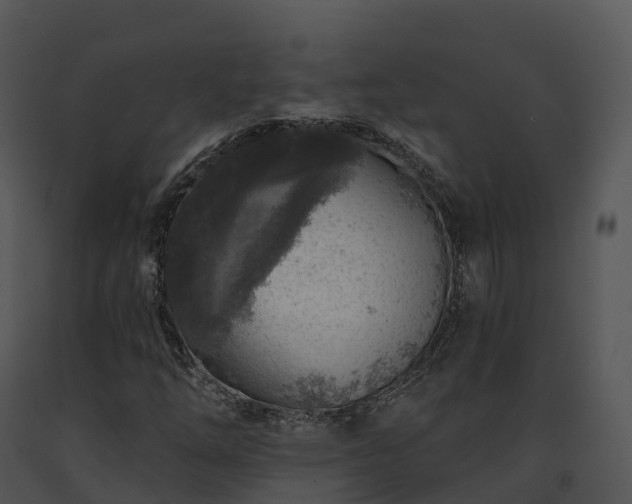 X0000091691254200708301533