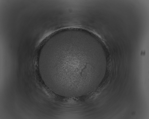 X0000091691255200708301533