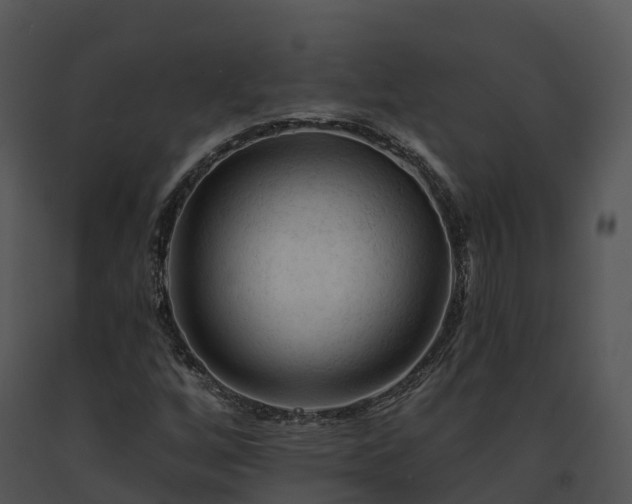 X0000091691256200708301533