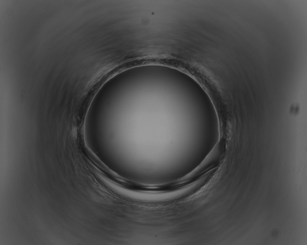 X0000091691257200708301533
