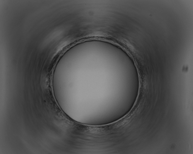X0000091691258200708301533