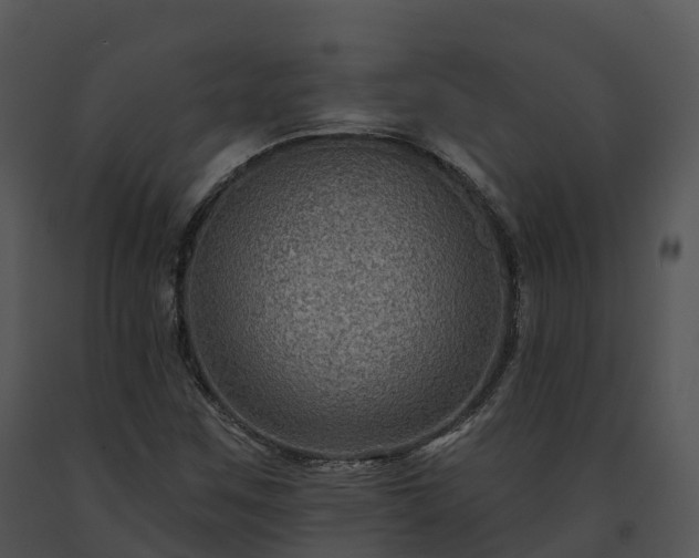 X0000091691259200708301533