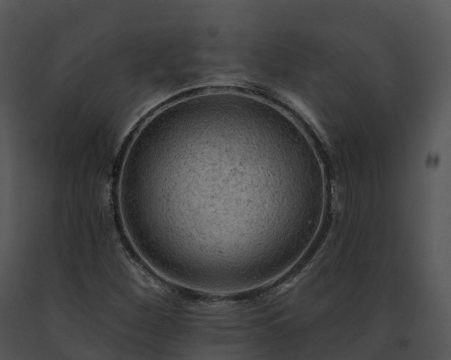 X0000091691260200708301533