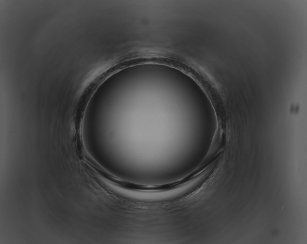 X0000091691261200708301533