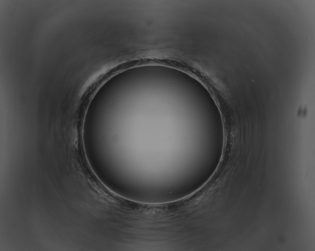 X0000091691262200708301533