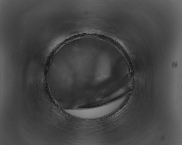 X0000091691263200708301533