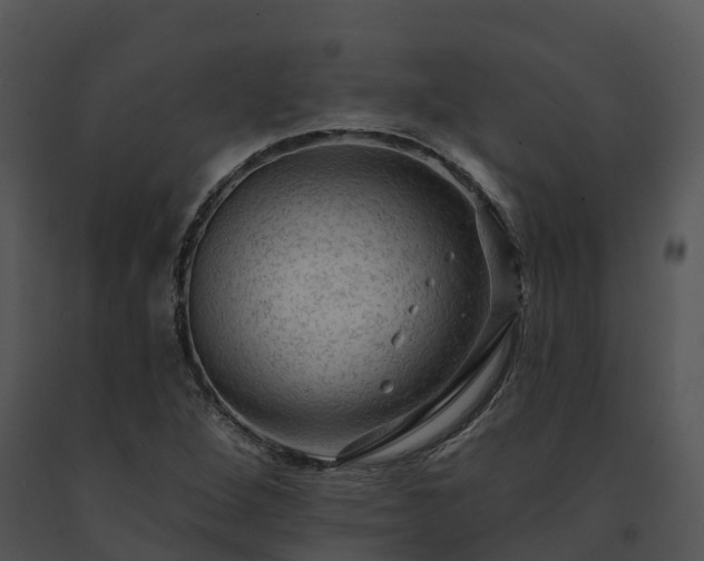 X0000091691264200708301533