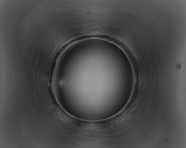 X0000091691265200708301533
