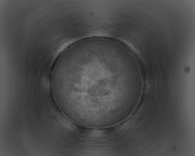 X0000091691266200708301533