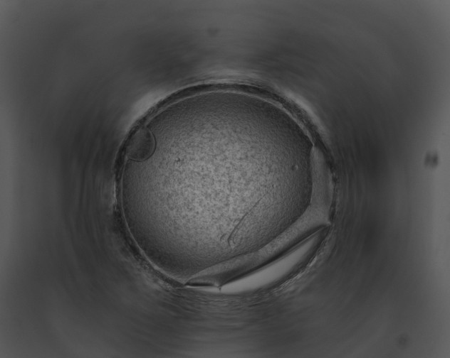 X0000091691267200708301533