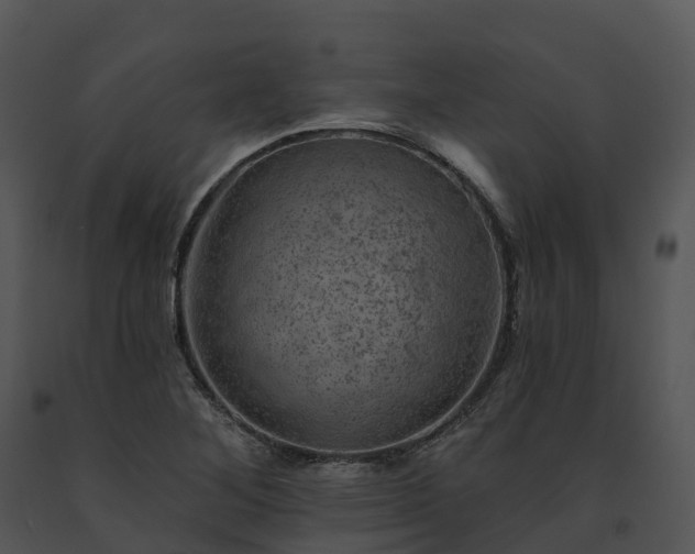 X0000091691268200708301533