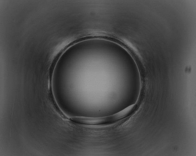 X0000091691269200708301533