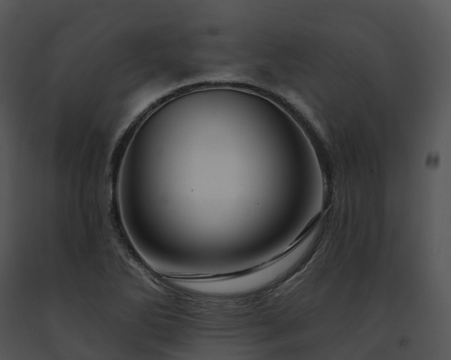 X0000091691270200708301533