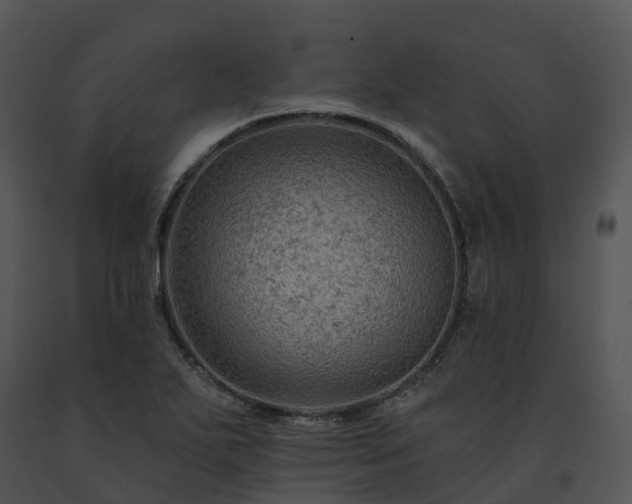 X0000091691271200708301533