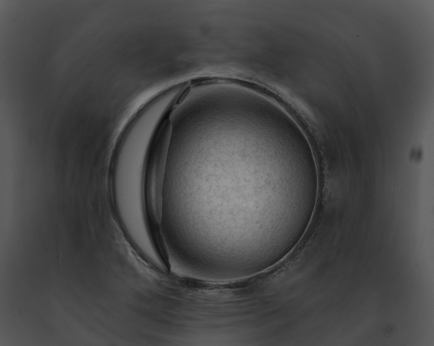X0000091691272200708301533