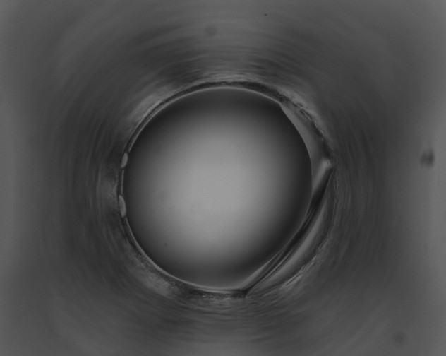 X0000091691273200708301533