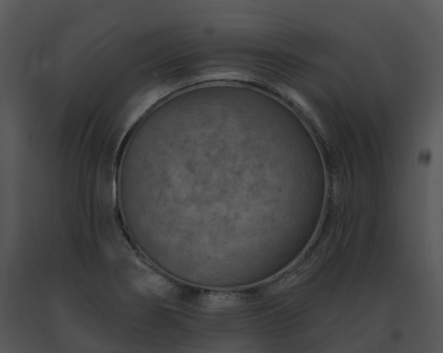 X0000091691274200708301533