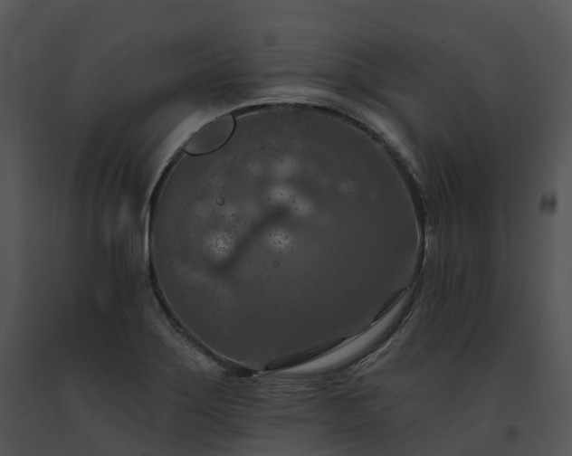 X0000091691275200708301533