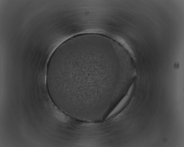 X0000091691276200708301533