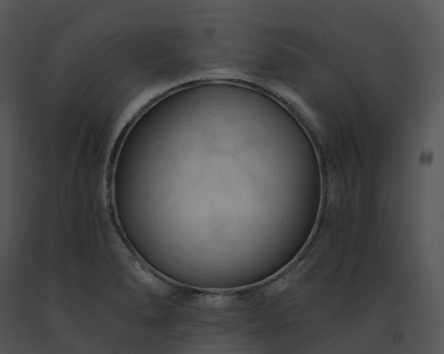 X0000091691278200708301533