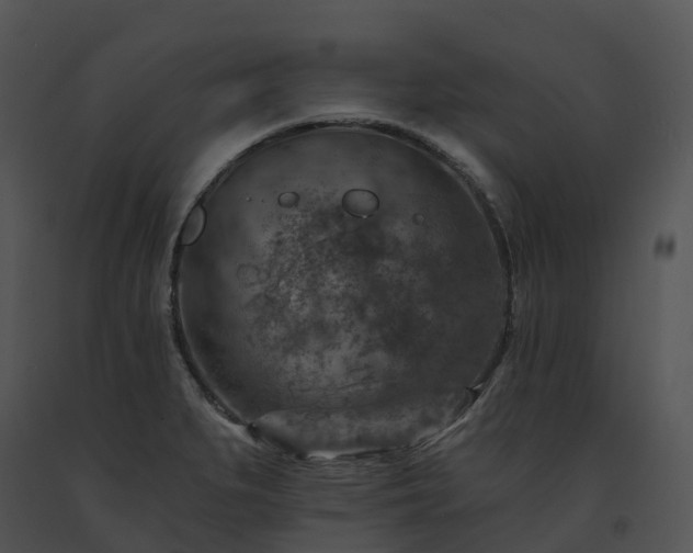 X0000091691279200708301533